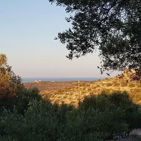 To Spiti Tou Papa Sto Vouno Kamilárion